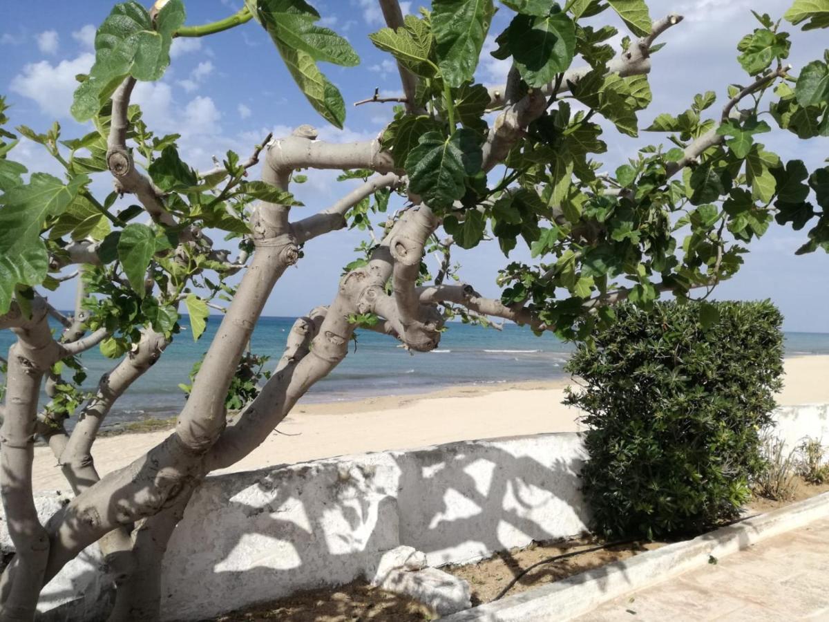 莫诺波利Dimora Grazia In Riva Al Mare公寓 外观 照片
